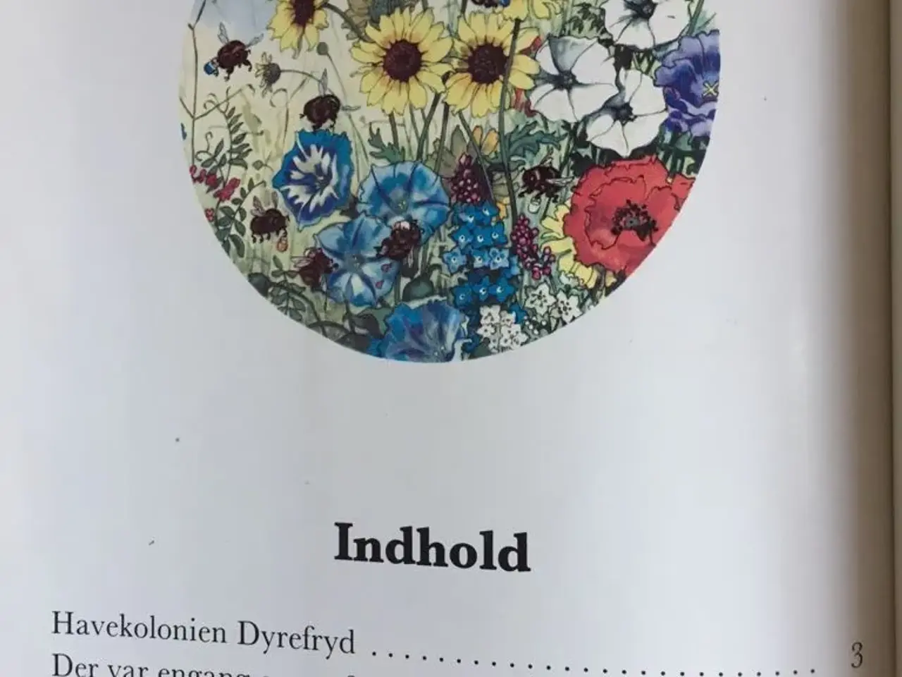 Billede 4 - Havekolonien DYREFRYD - Birgit Erup