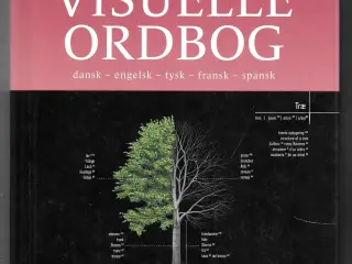 Politikkens visuelle ordbog Dansk-engelsk-tysk-fra