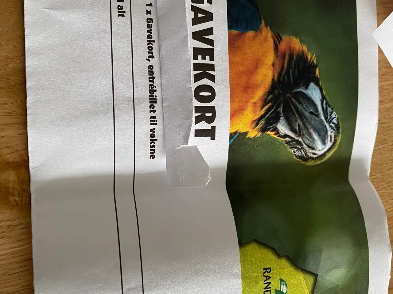 Billede 2 - Gavekort til entré i Randers regnskov