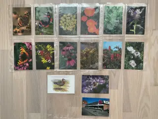Pæne resept kuverter ( 15 stk ) 🌷