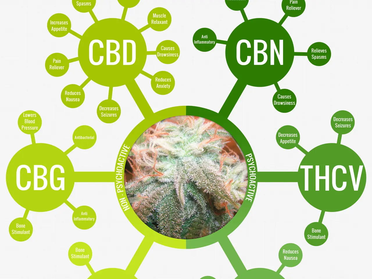 Billede 2 - Cbd olie 50 og 62 procent rent