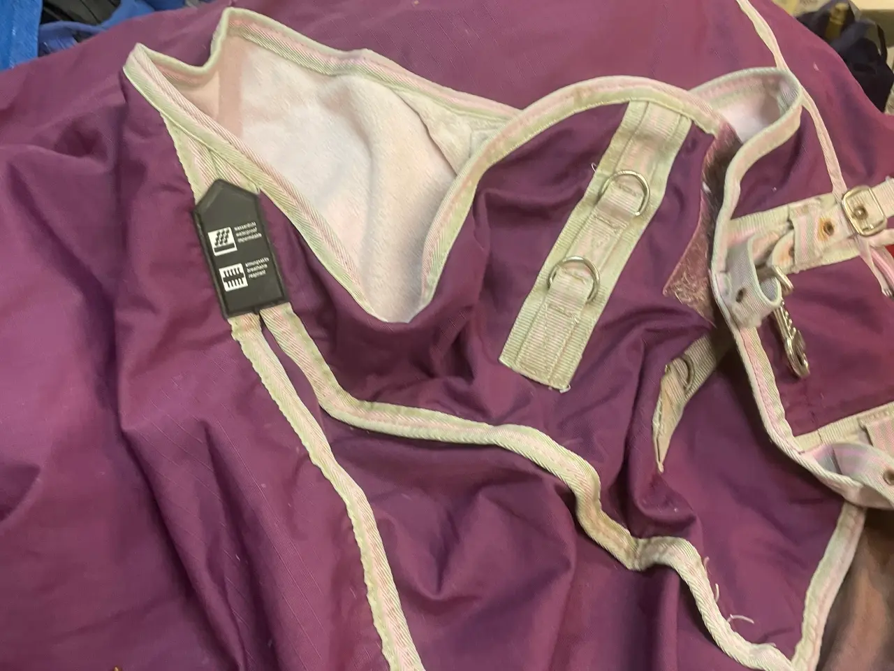 Billede 17 - Garage salg med udstyr til hest og rytter