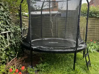 Salta Premium Black Edition havetrampolin Ø: 251 c
