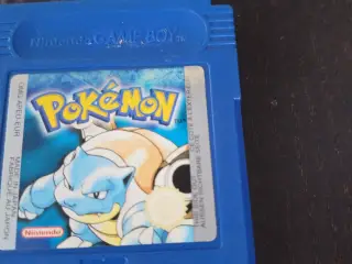 Pokemon blå I beskyttelse!