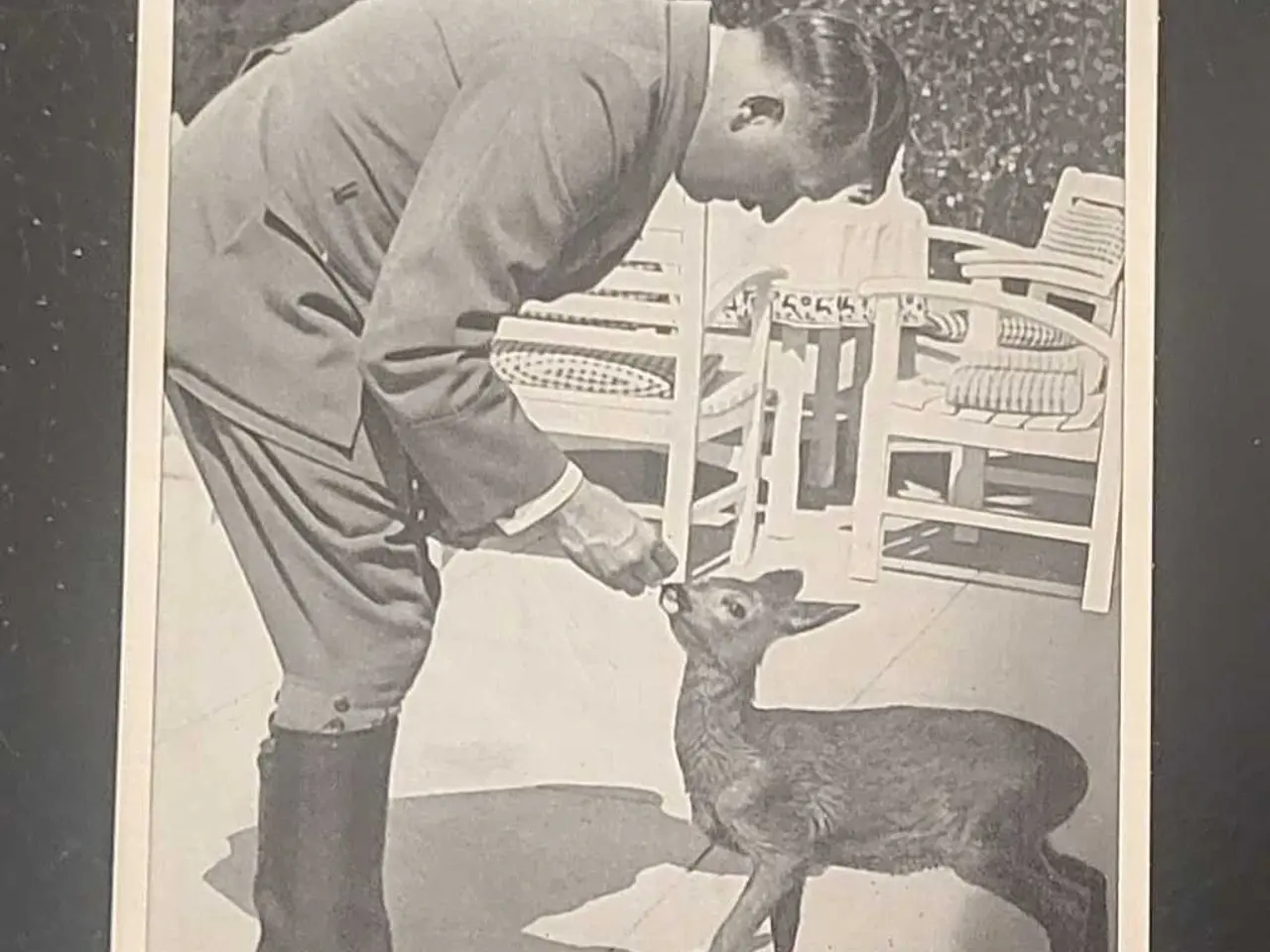 Billede 1 - WW2 - Originalt samlebillede med Adolf Hitler