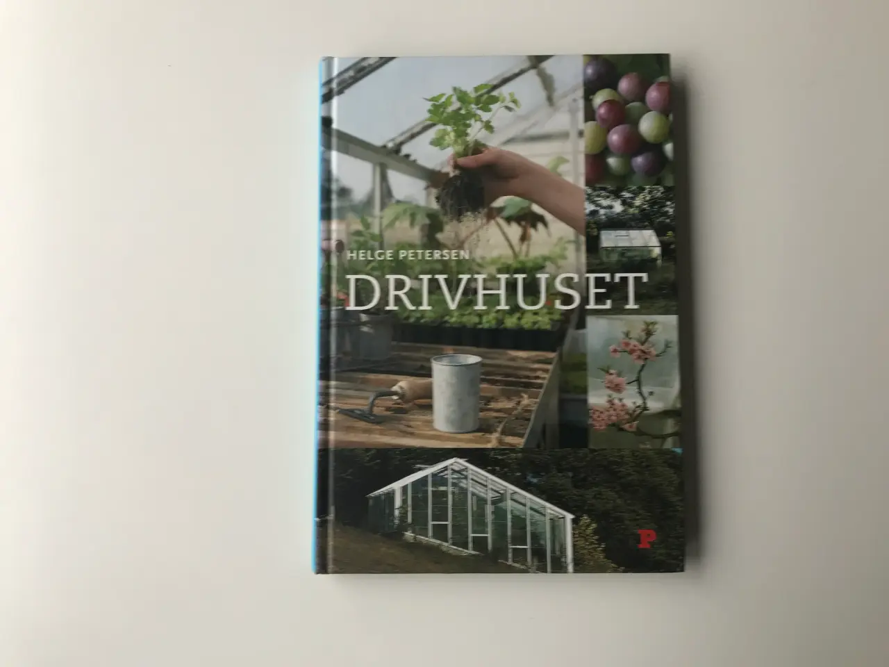 Billede 1 - Drivhuset af Helge Petersen