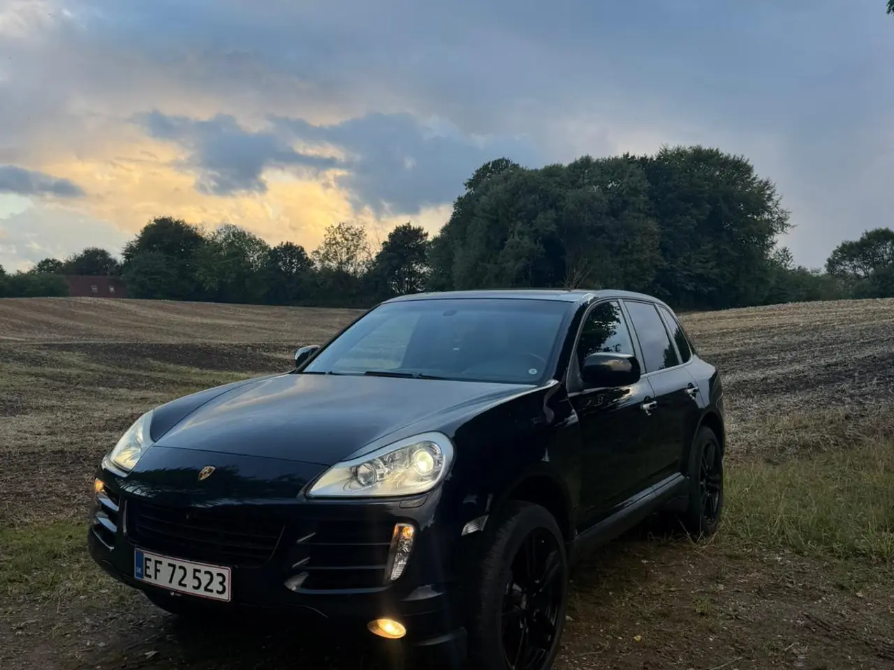 Billede 1 - Hvidpladet Cayenne