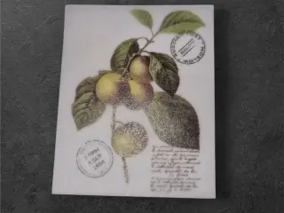 Vintage papirark med æbleillustration