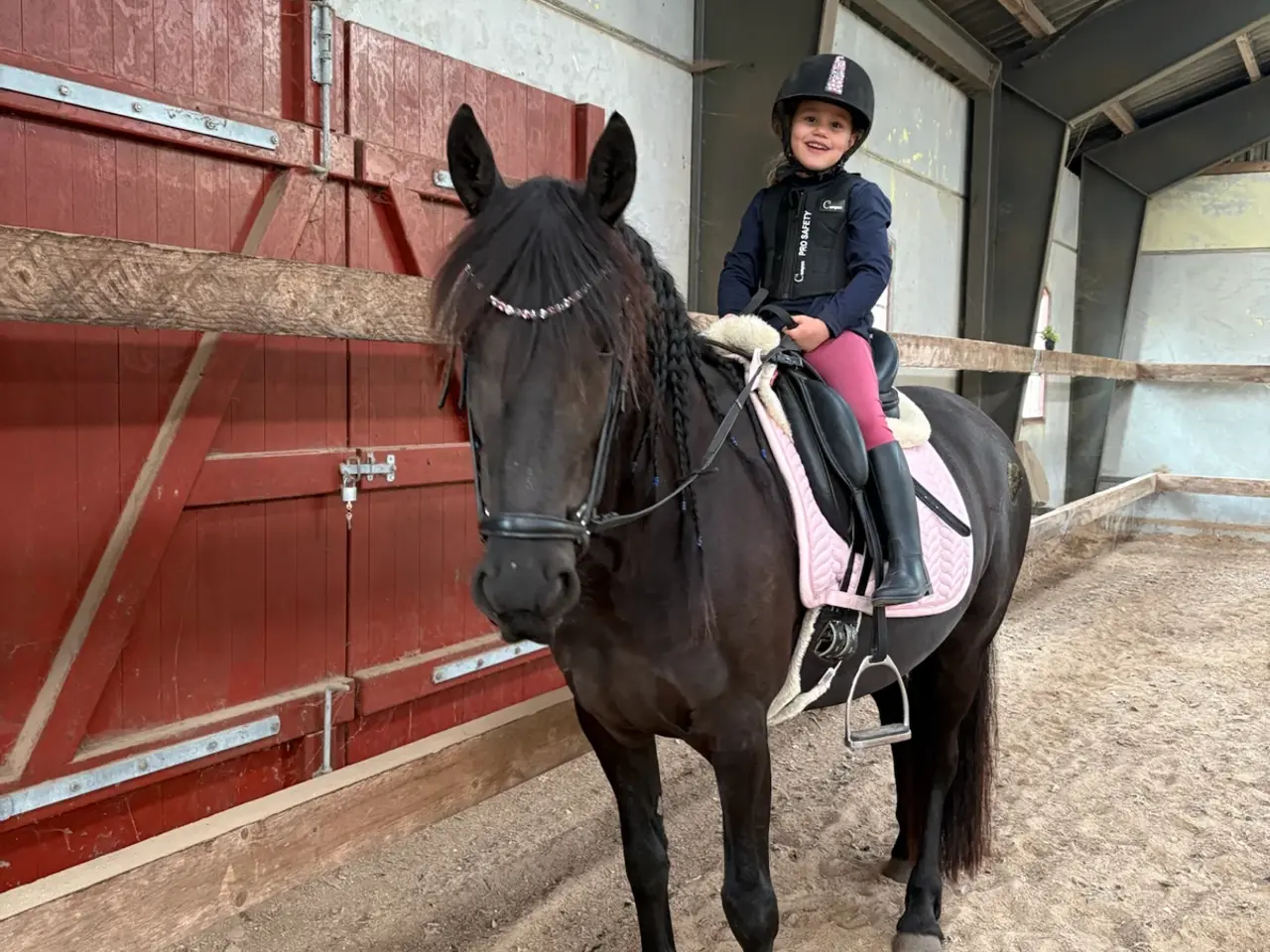 Billede 1 - Halv frieser halv pony