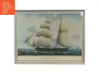 Skibsillustration i ramme (str. 36x27,5 cm)
