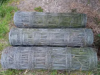 Fårehegn