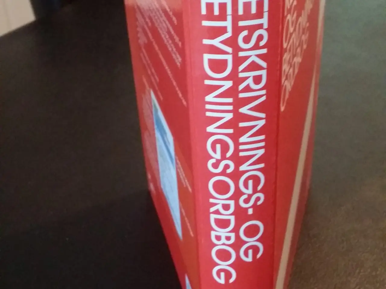 Billede 3 - Retskrivning og betydning ordbog