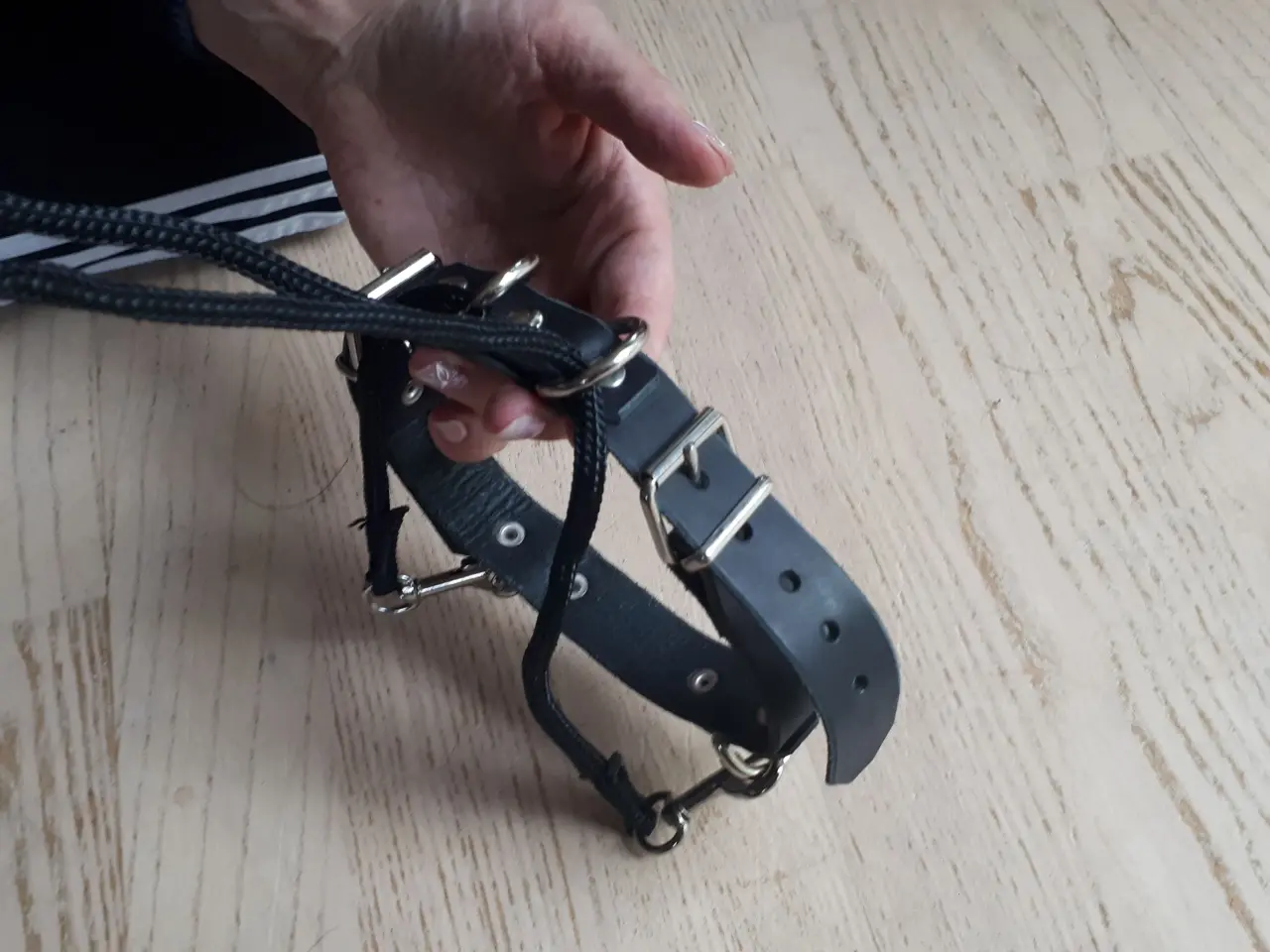 Billede 3 - Billige nye Hundeseler,