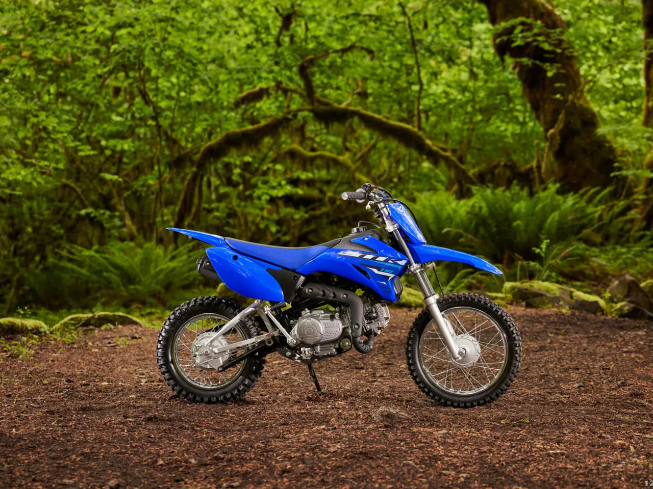 Billede 2 - Yamaha TT 110 R