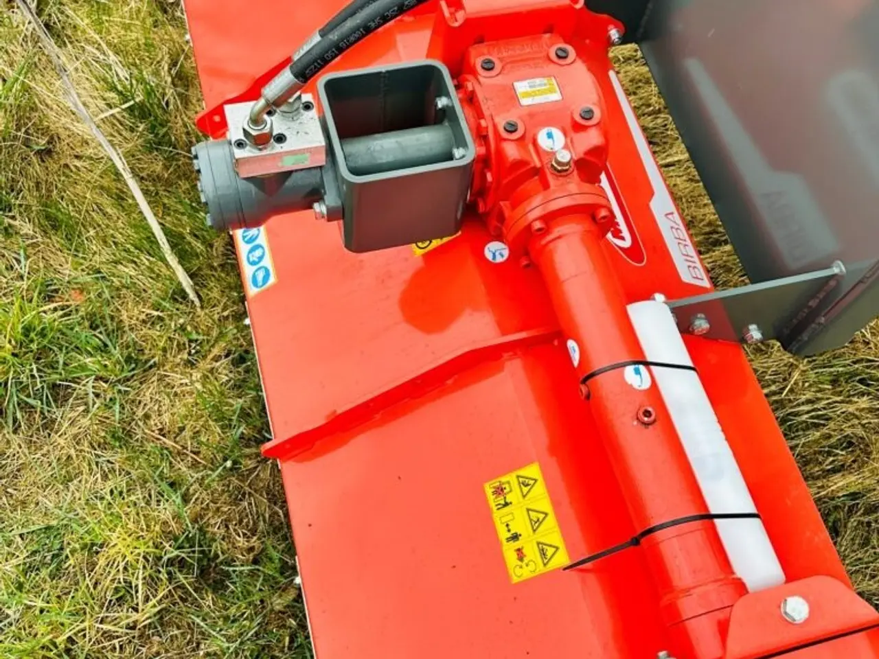 Billede 5 - Maschio Birba 115