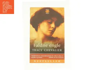 Faldne engle af Tracy Chevalier (Bog)