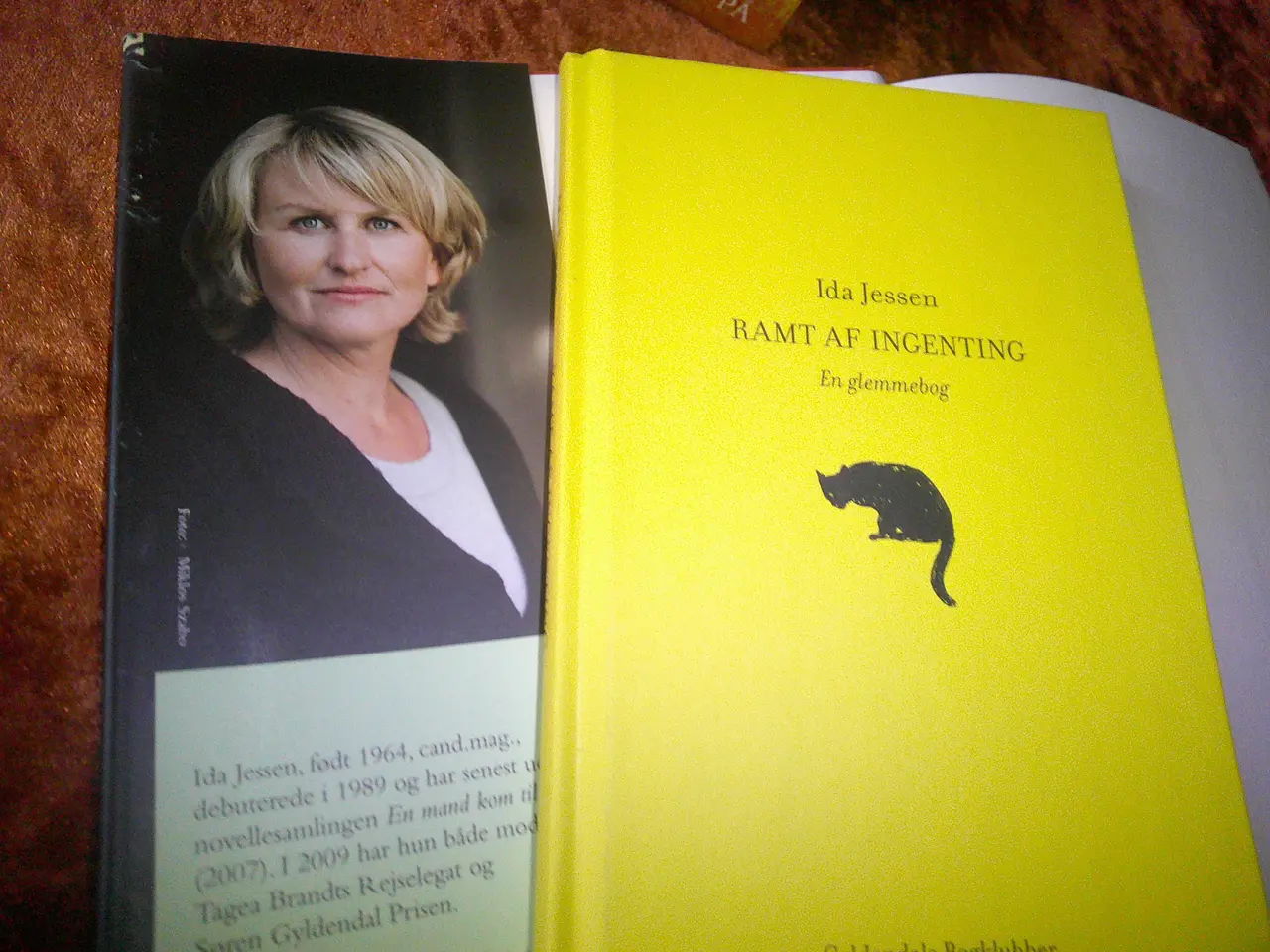 Billede 2 - Ramt af ingenting m.fl, Ida Jessen