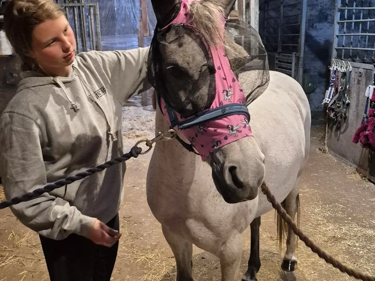 Billede 3 - Sensitiv hoppe