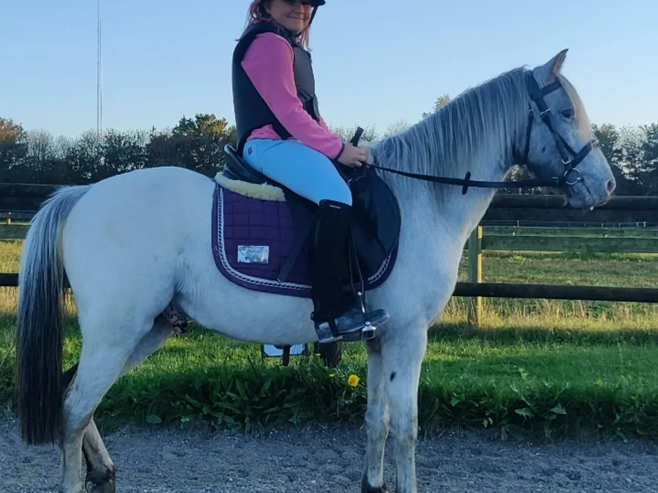 Billede 5 - Smart 3'er pony