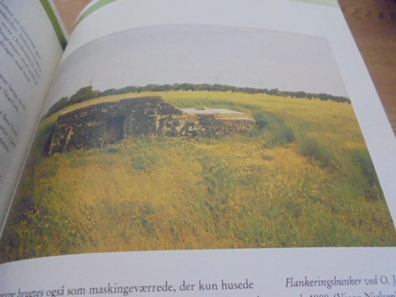 Billede 5 - Befæstningsanlæg i Danmark 1858-1945