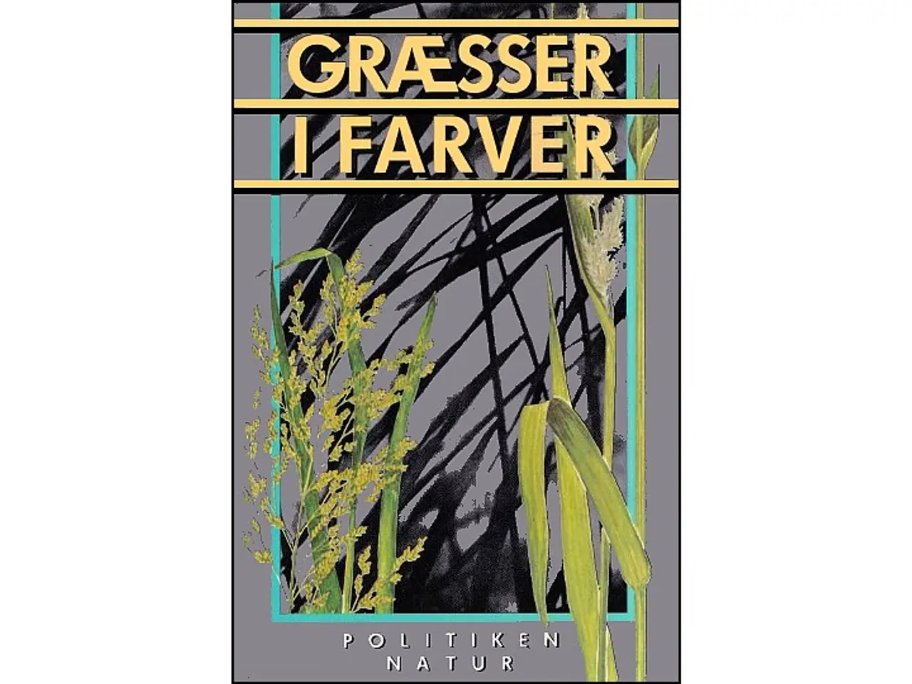 Billede 1 - Græsser i farver