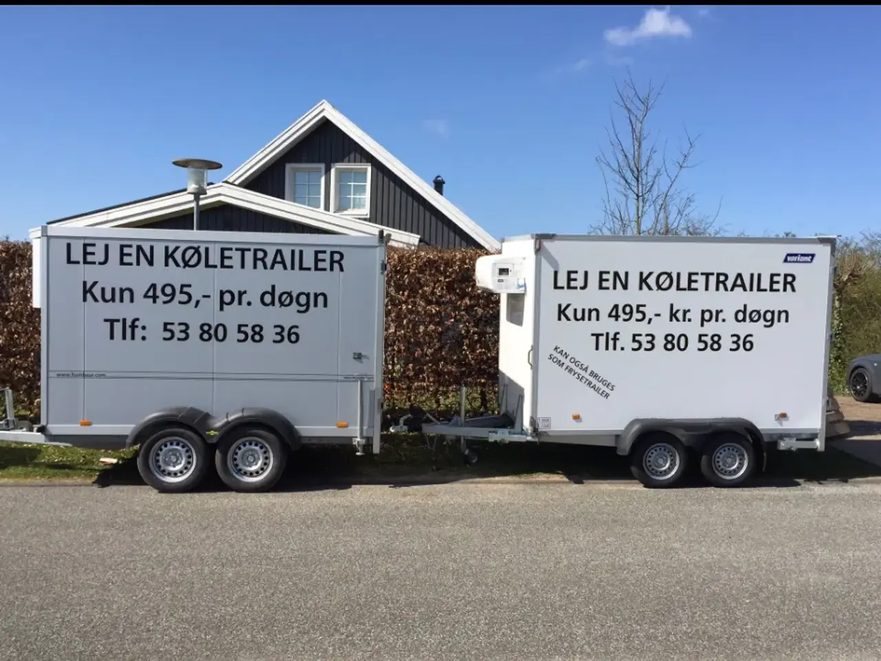 Billede 1 - Køle eller frysetrailer udlejes 