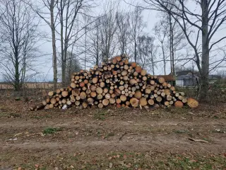 Blandet træ