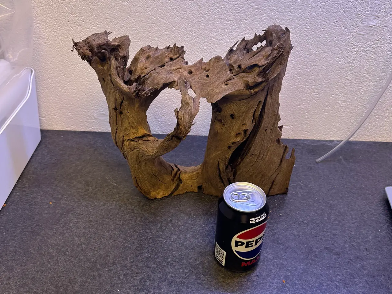 Billede 6 - Trærødder