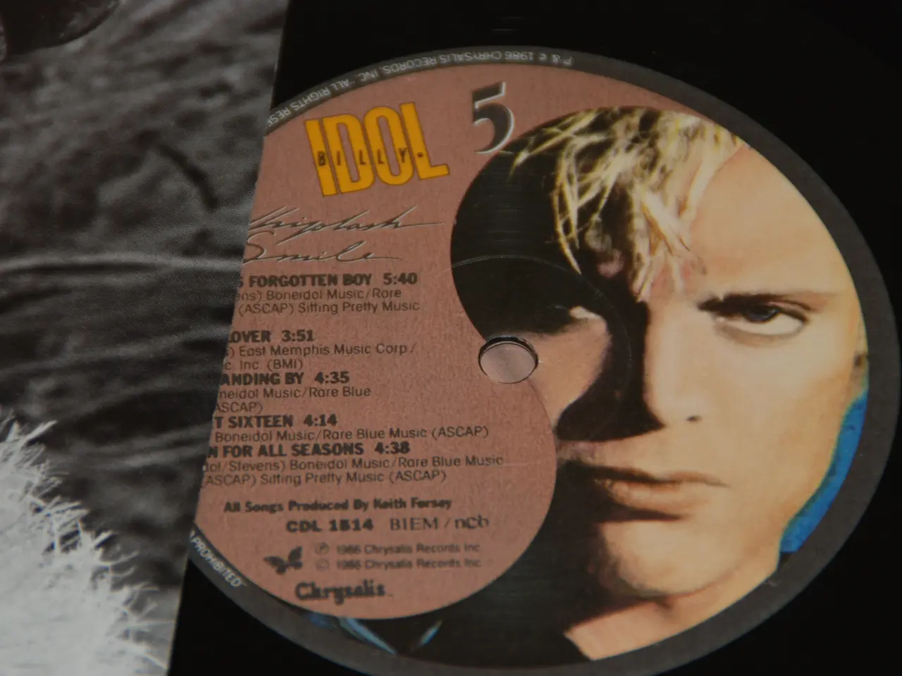 Billede 6 - Vinylplade - Billy Idols