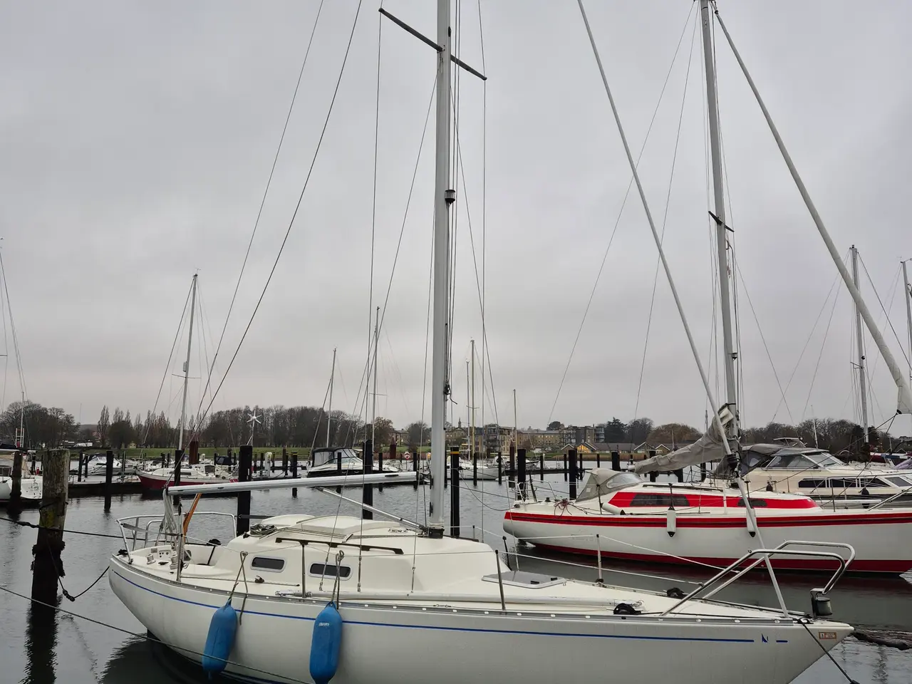 Billede 7 - Albin Accent 26
