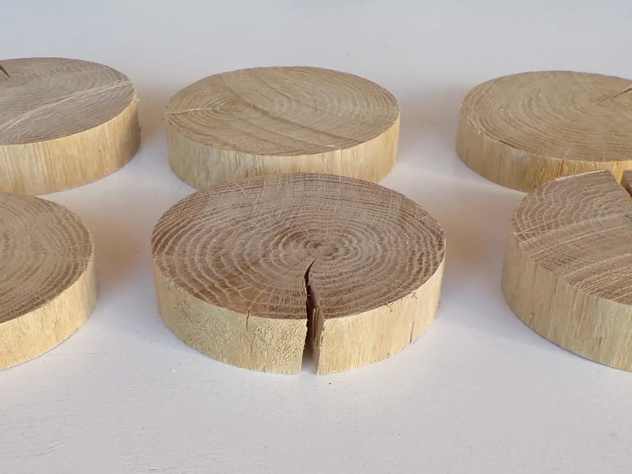 Billede 2 - 6 NYE Træskiver Egetræ ca. 10 cm