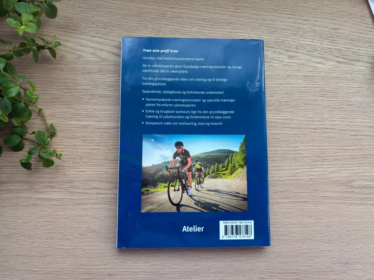 Billede 2 - RACERCYKEL TRÆNING af Tim Böhme, Jochen Haar
