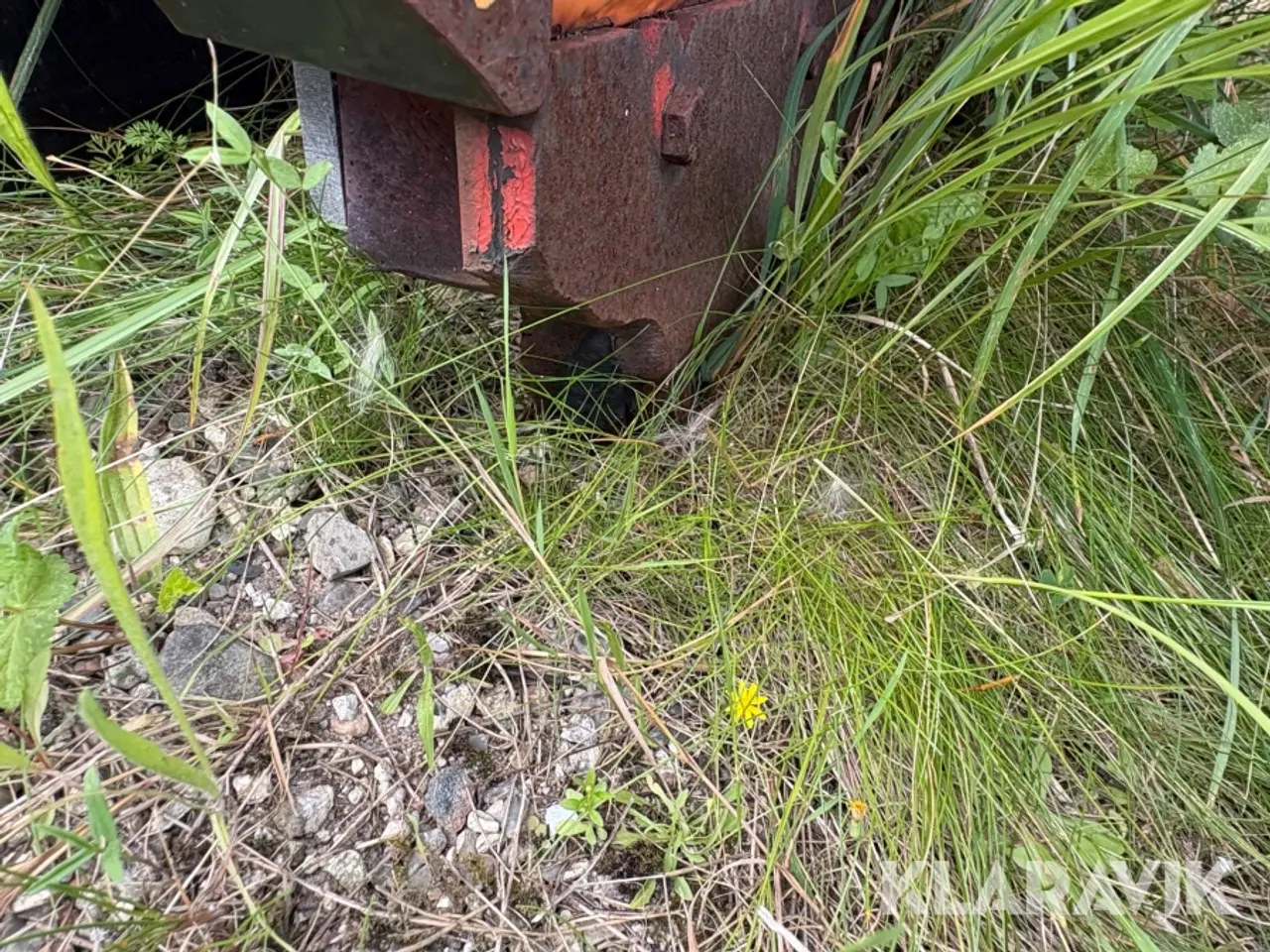 Billede 9 - Sneplov Assaloni Lama LM-35