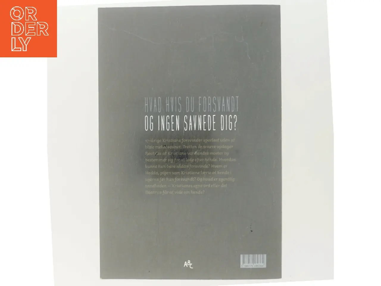 Billede 3 - Pige savnes (ikke) af Camilla Sandmo (f. 1991) (Bog)