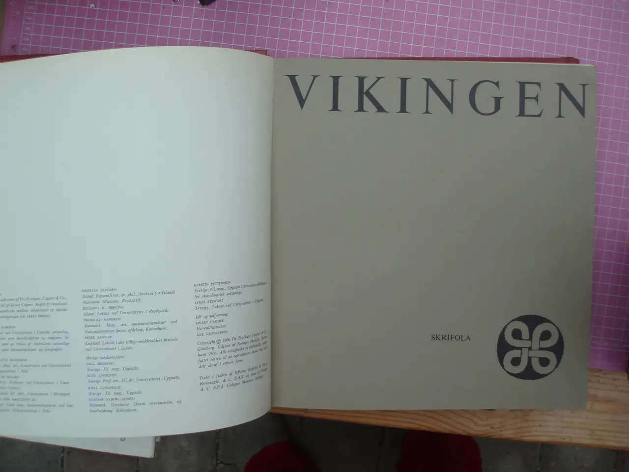 Billede 2 - Vikingen
