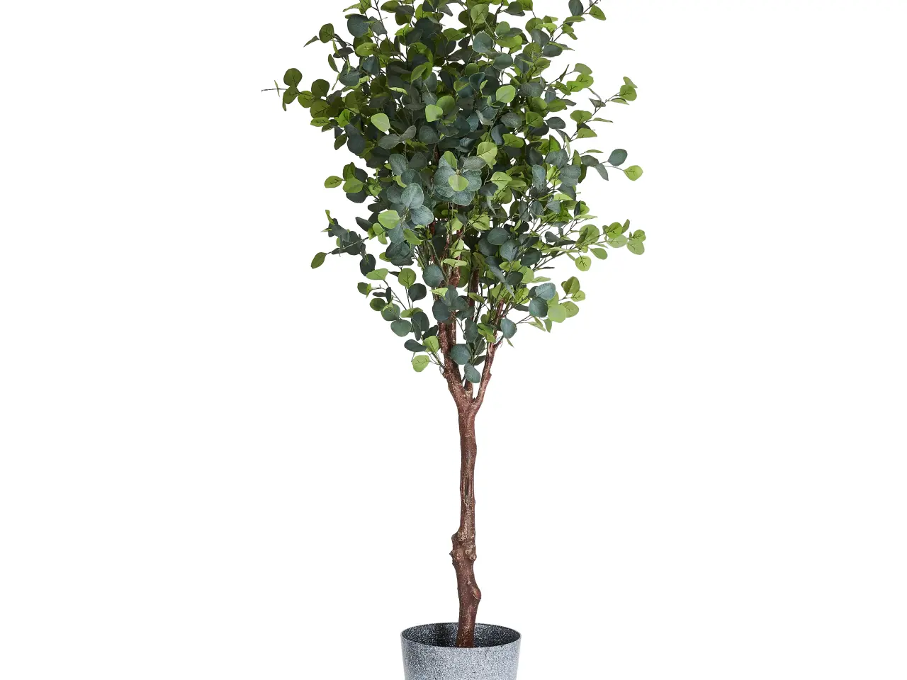 Billede 1 - Kunstig plante Eukalyptus træ 180 cm.