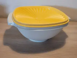 Tupperware Floridaskål