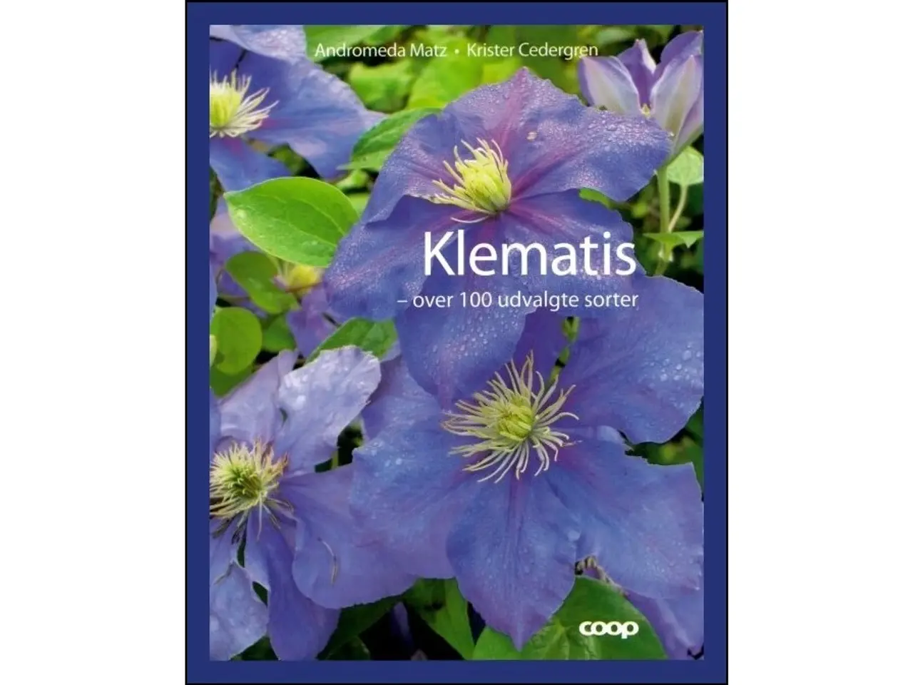 Billede 1 - Klematis - over 100 udvalgte sorter