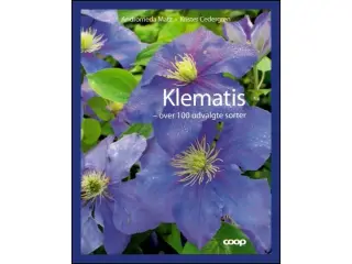 Klematis - over 100 udvalgte sorter