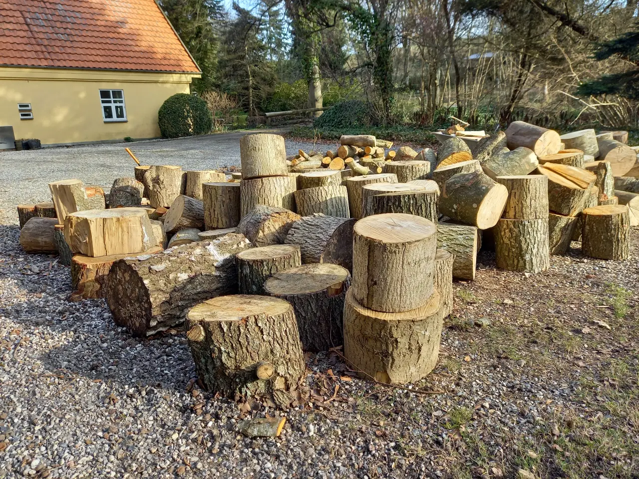 Billede 1 - Masser af træstubbe