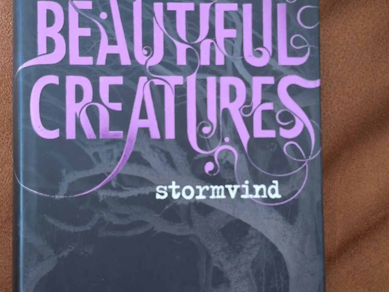 Billede 1 - Beautiful Creatures