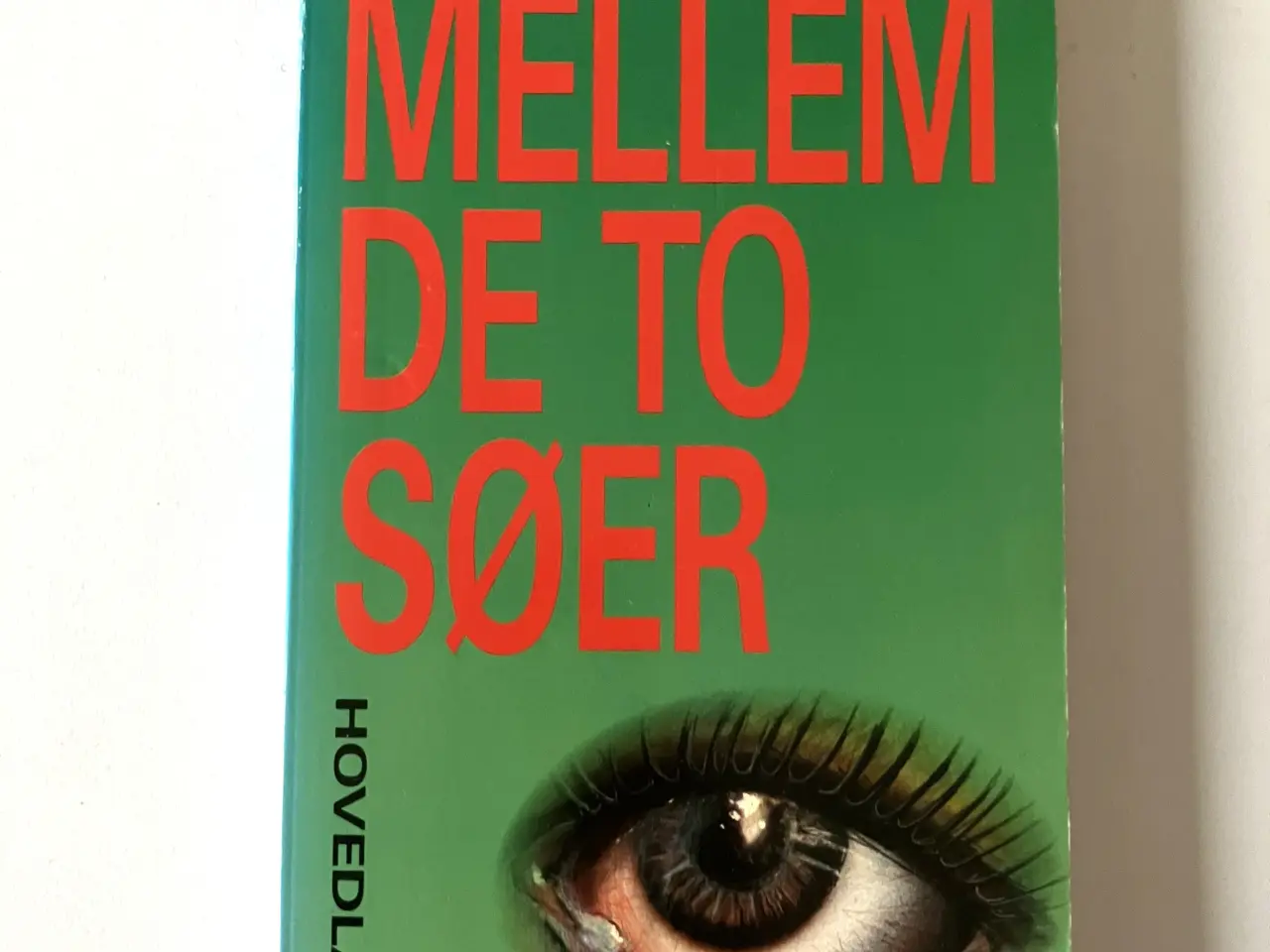 Billede 1 - Mellem de to søer. Af Albert Dam