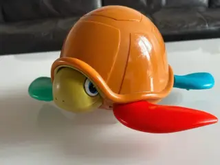 skildpadde