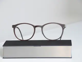 lindberg ny brillestel