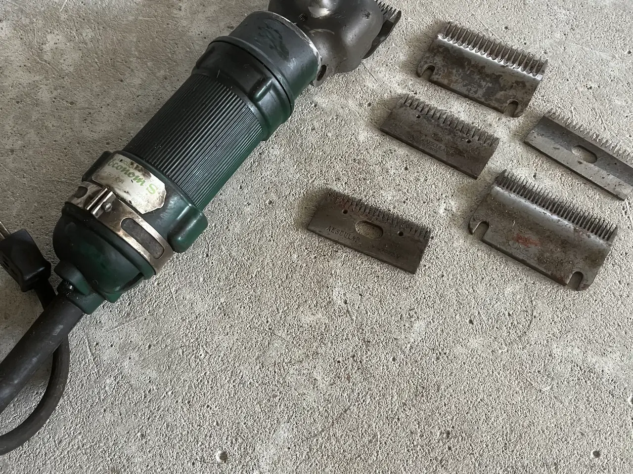Billede 1 - Kreatur klipper
