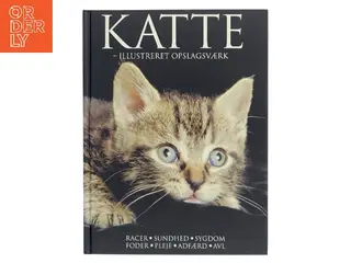 Katte : illustreret opslagsværk af Lin Esposito (Bog)