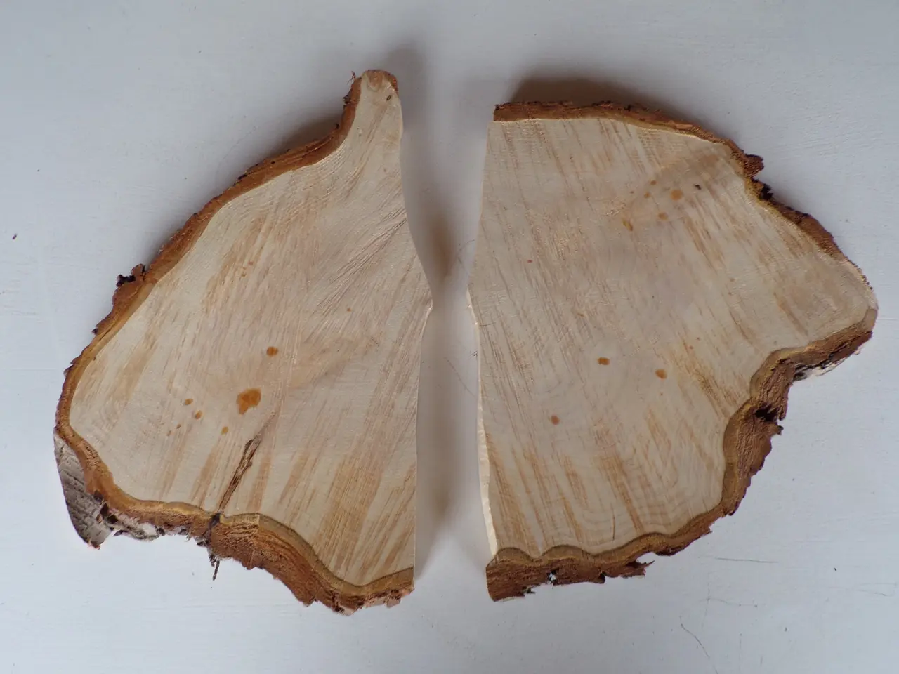 Billede 1 - 2 Thuja træskiver med bark
