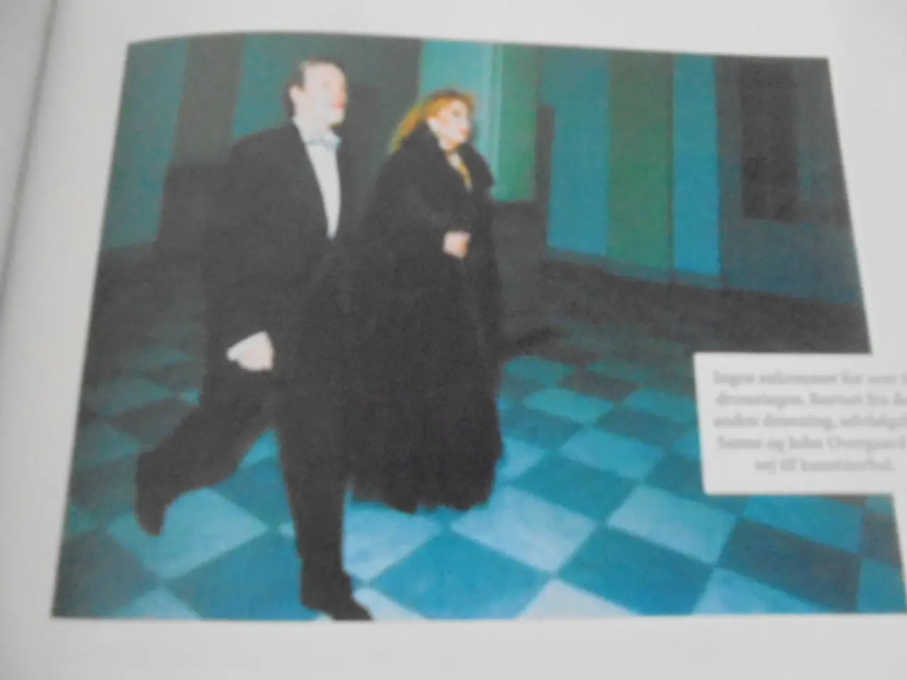 Billede 4 - Sanne Salomonsen – The Book. Lidt til og meget mer
