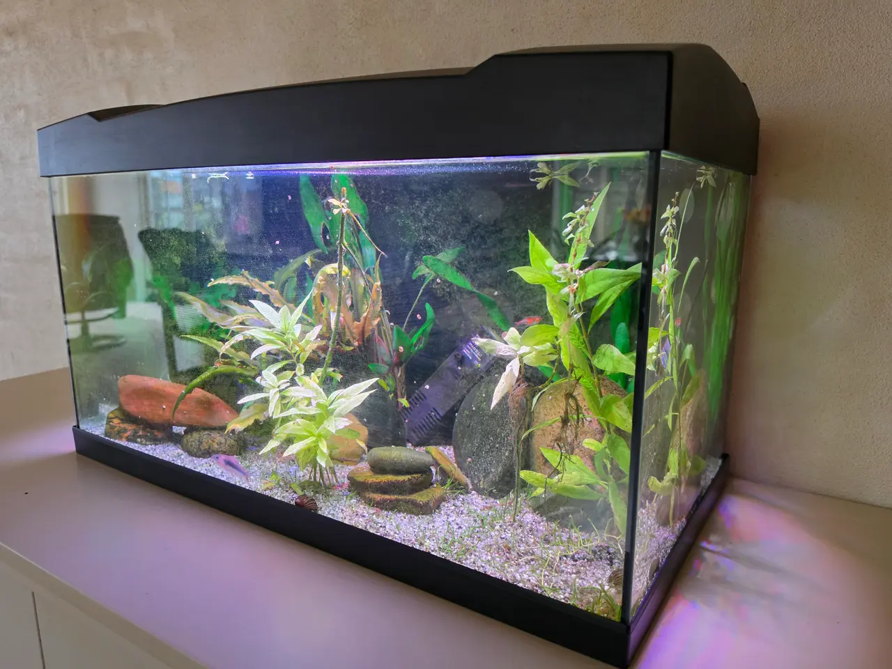 Billede 2 - STARTERSÆT 57 LTR. M/ 6 WATT LED 60X30X36,50 Cm 