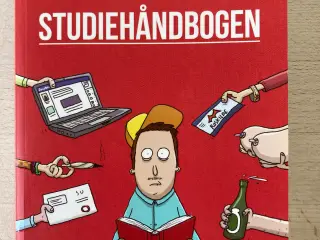 Studiehåndbogen, Wulffmorgenthaler